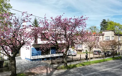 Wolf Nieruchomości - Biuro nieruchomości Tarnowskie Góry